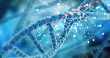 Genetics